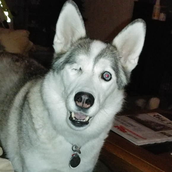 Meet your Posher, Linda - Picture 3 of 6